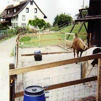 Tierausläufe